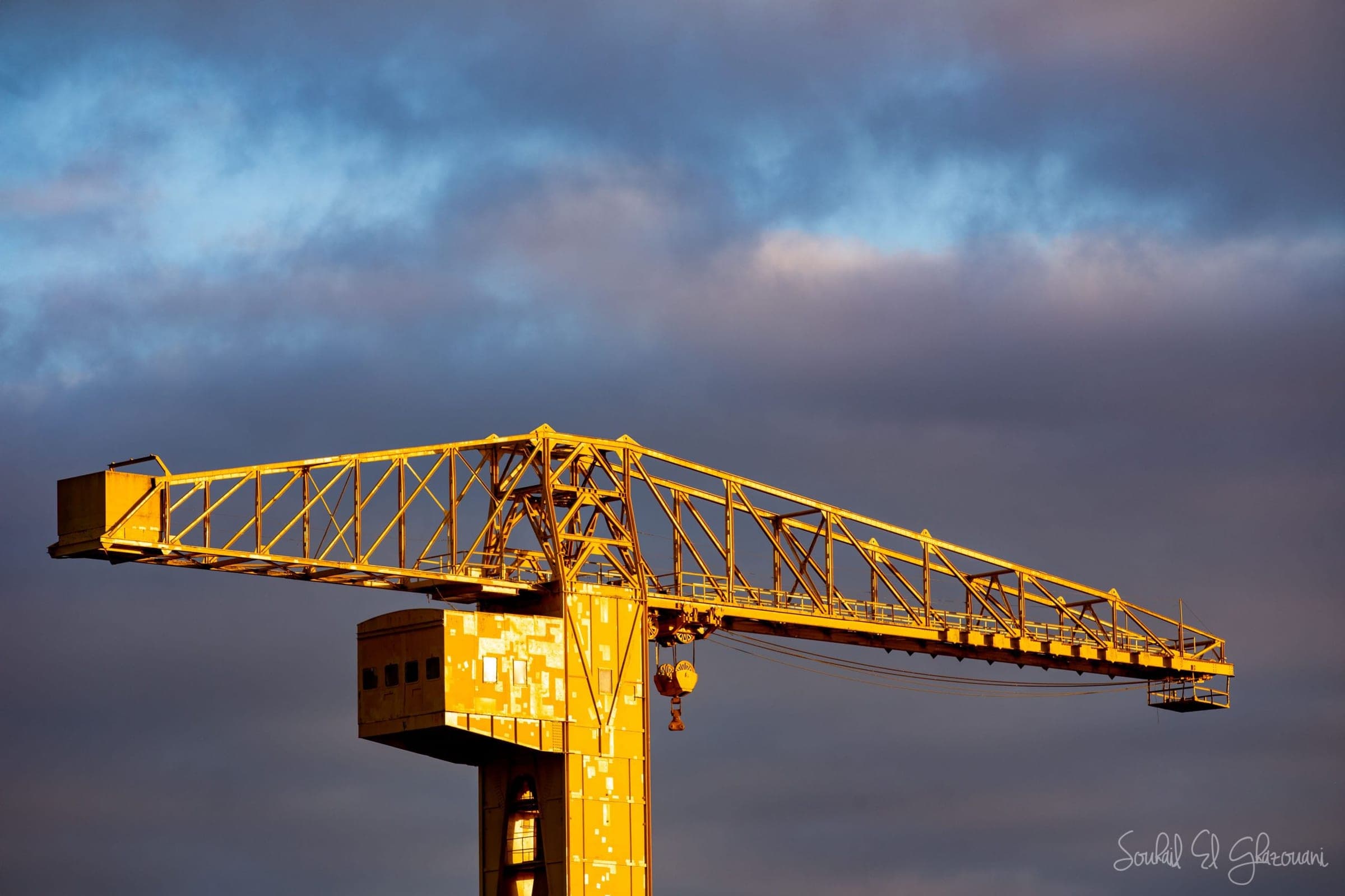 TITAN Jaune — Grue Titan Jaune profitant des dernières rayons de soleil