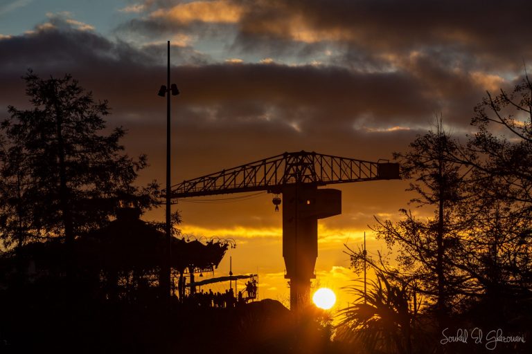 Grue TITAN au couché du soleil