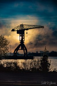 Grue Titan au lever du jour