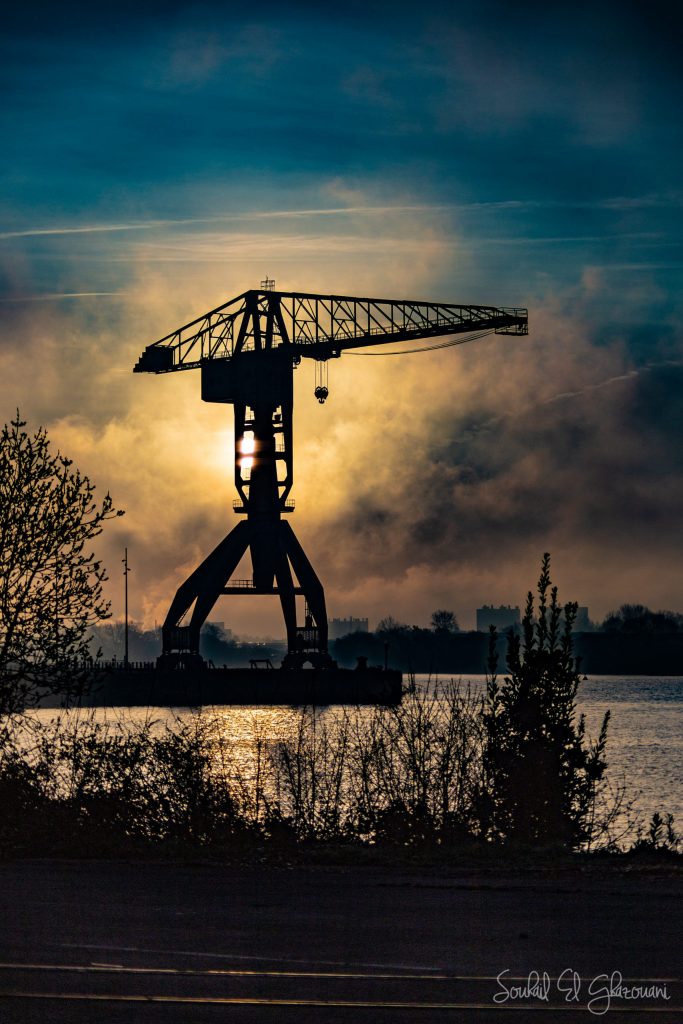 Grue Titan au lever du jour