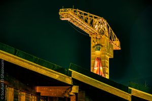 Grue Jaune et Vert