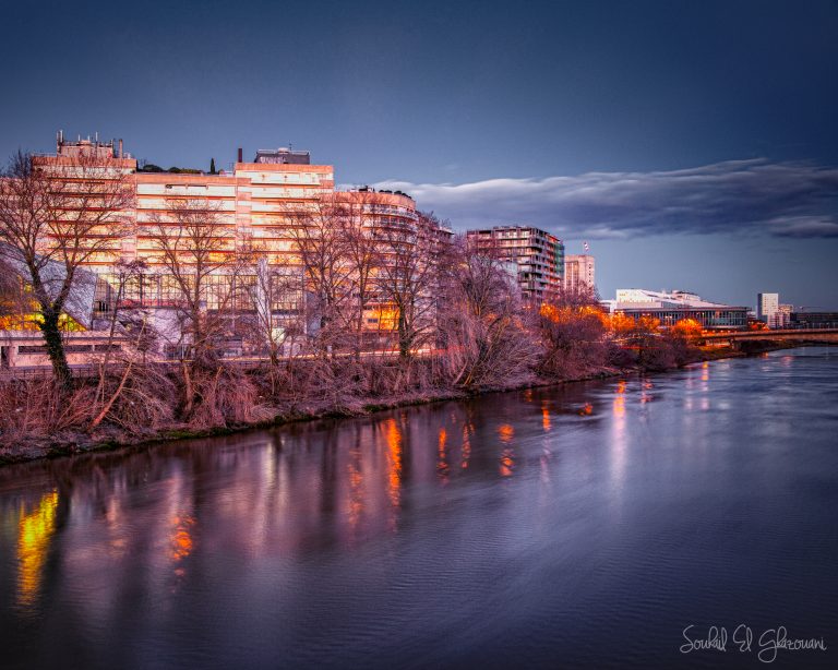 Loire en Hiver à Nantes