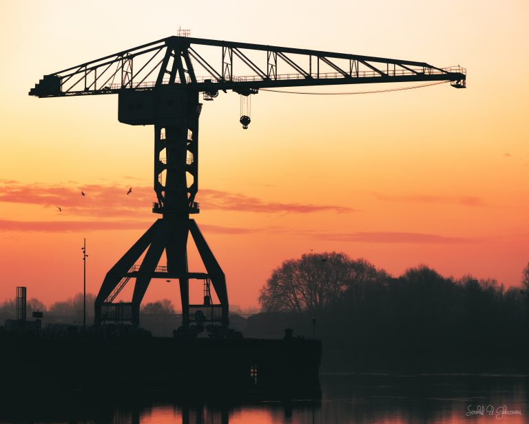 Grue Titan contraste