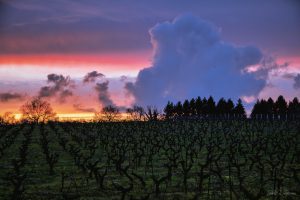 Superbe coucher à Saint Leger Les Vignes